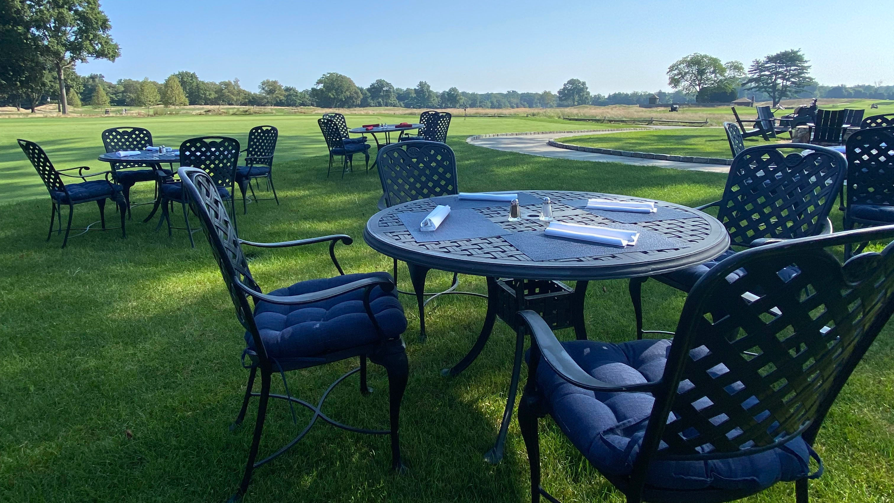 Blue patio cushions deals