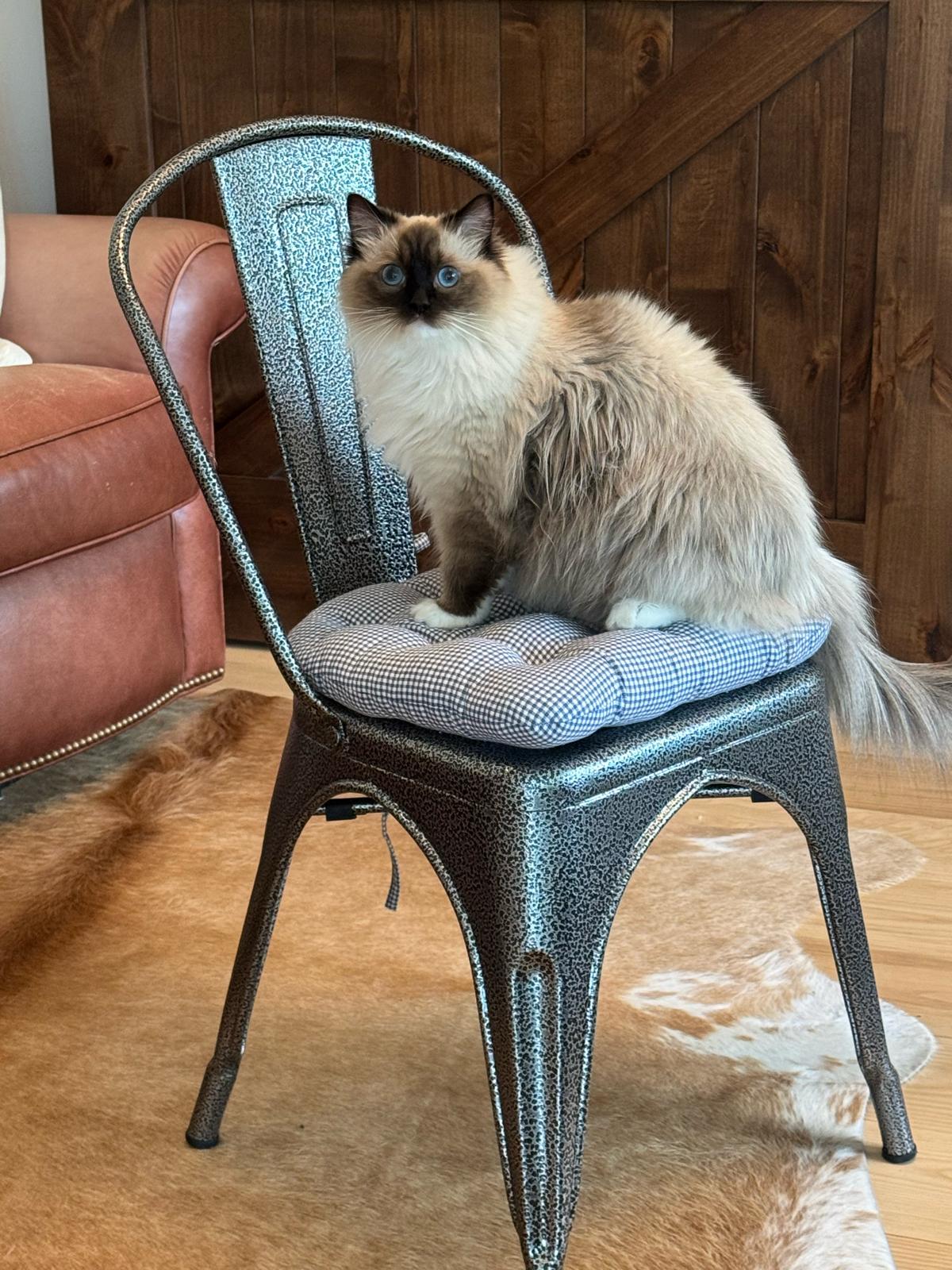 Discontinued Product