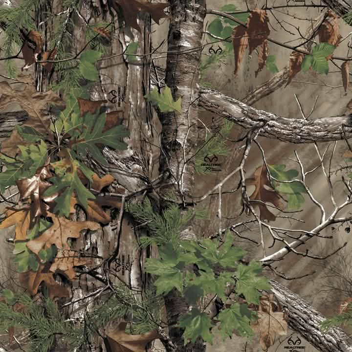 Realtree Xtra Green (R) Camo Reversible Placemats - Set of 4