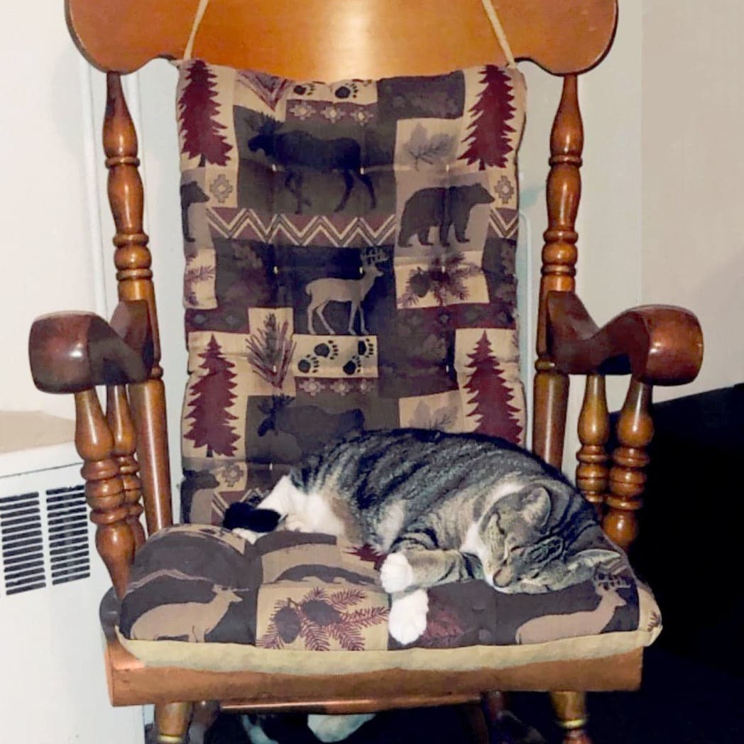 Wilderness Summit Garnet Rocking Chair Cushions - Barnett Home Decor - Brown, Taupe, & Red, - Nature - Woods - Wildlife - Bears - Rivers - Pines