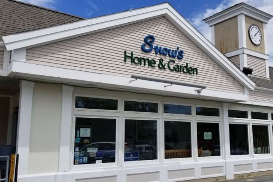 Shop for Barnett Home Decor home goods at Snows Home & Garden