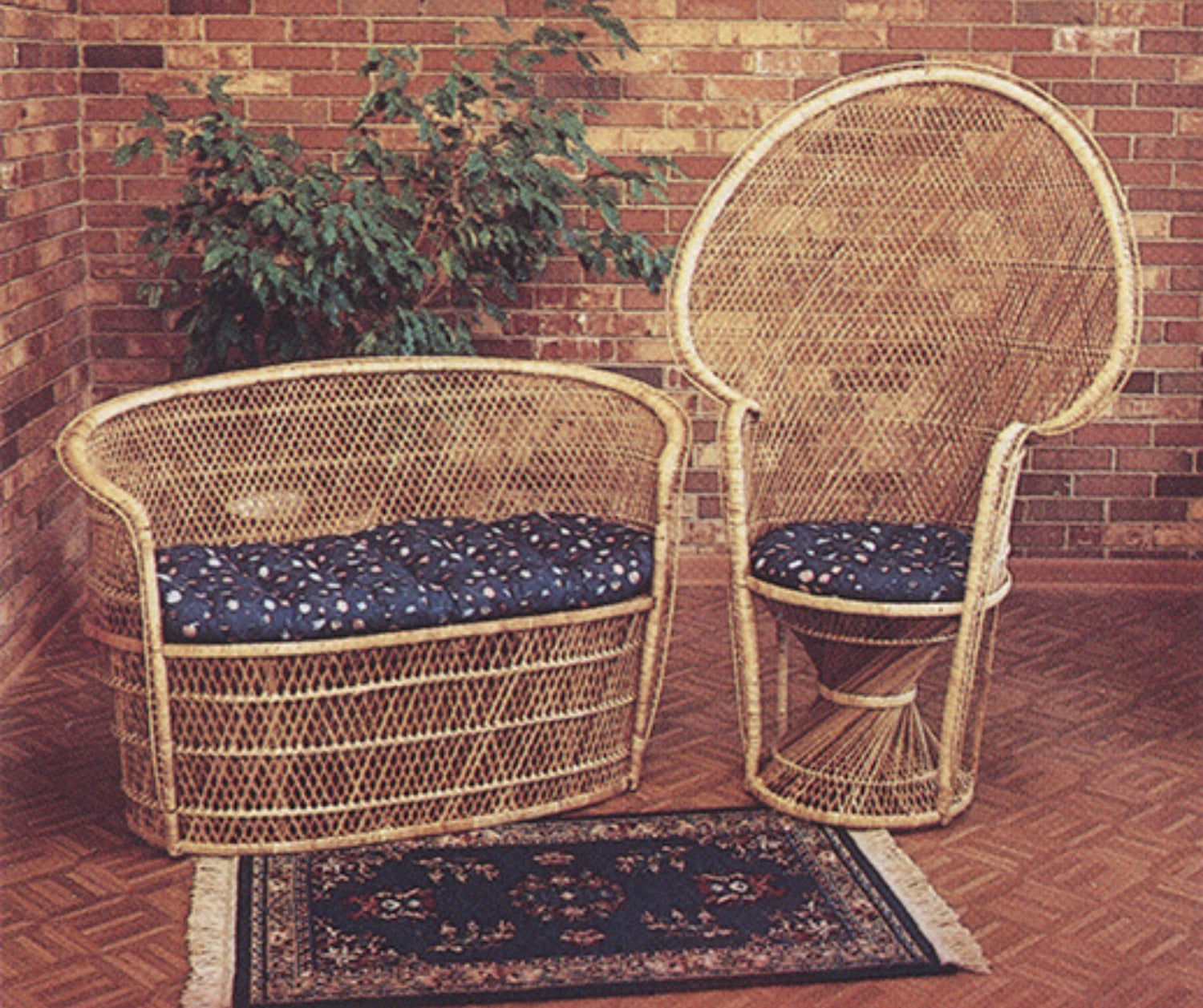 Brown vintage chairs with blue chair cushions