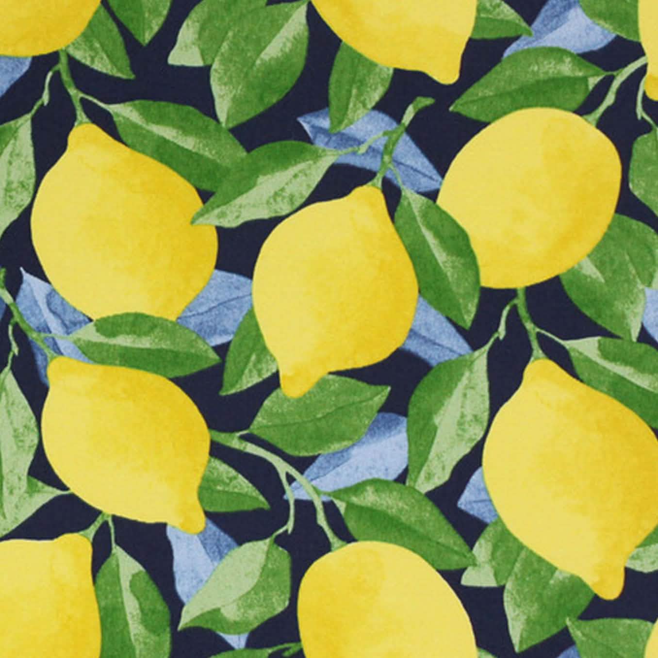 24 Lemons I/O Blue Citrus 50 Swatch