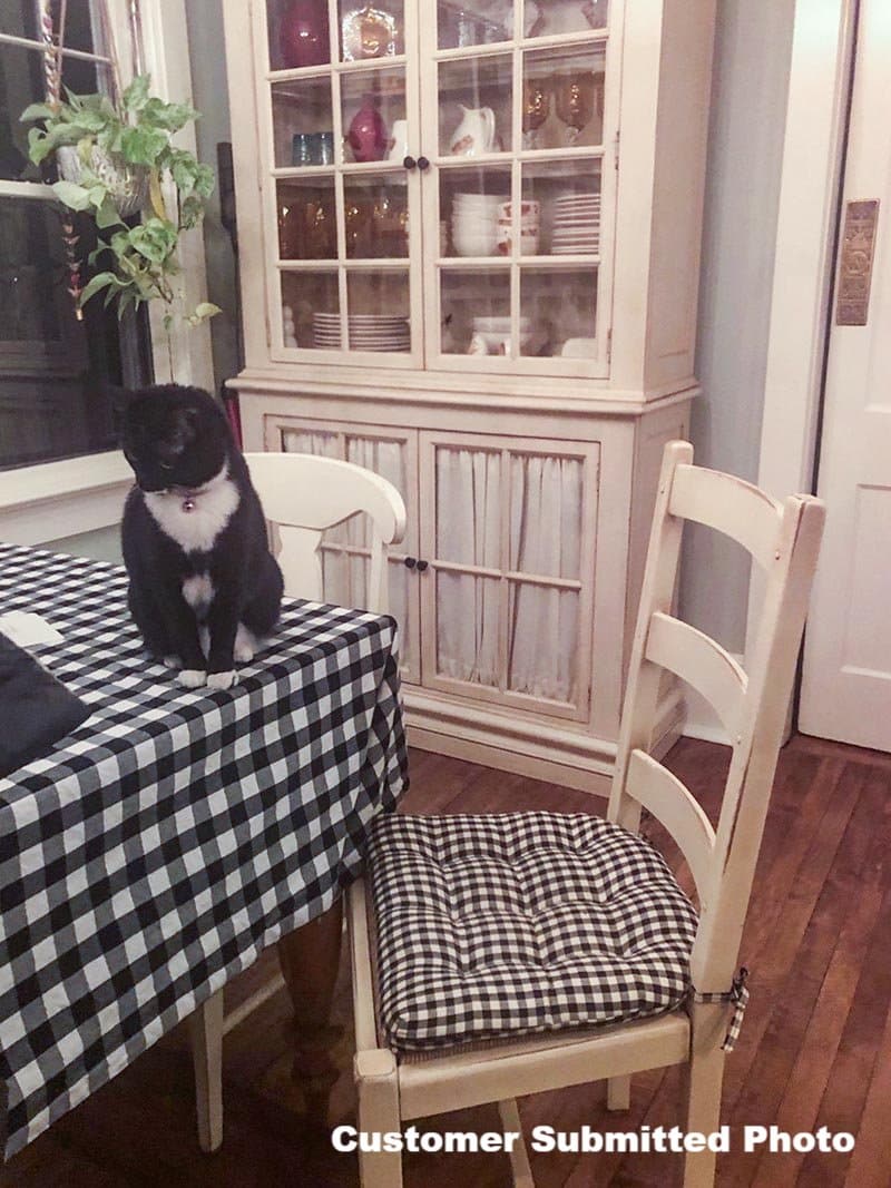 Checkers Black and Tan Dining Chair Cushions - Barnett Home Decor - Black & Cream