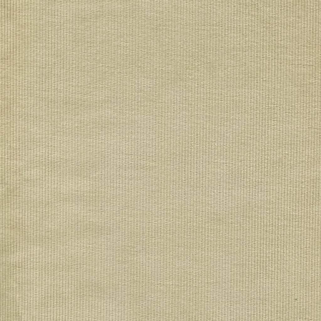 01 Corduroy Pinwale Beige 24 Swatch