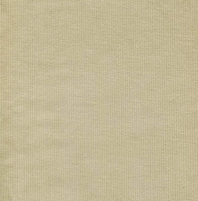 01 Corduroy Pinwale Beige 24 Swatch
