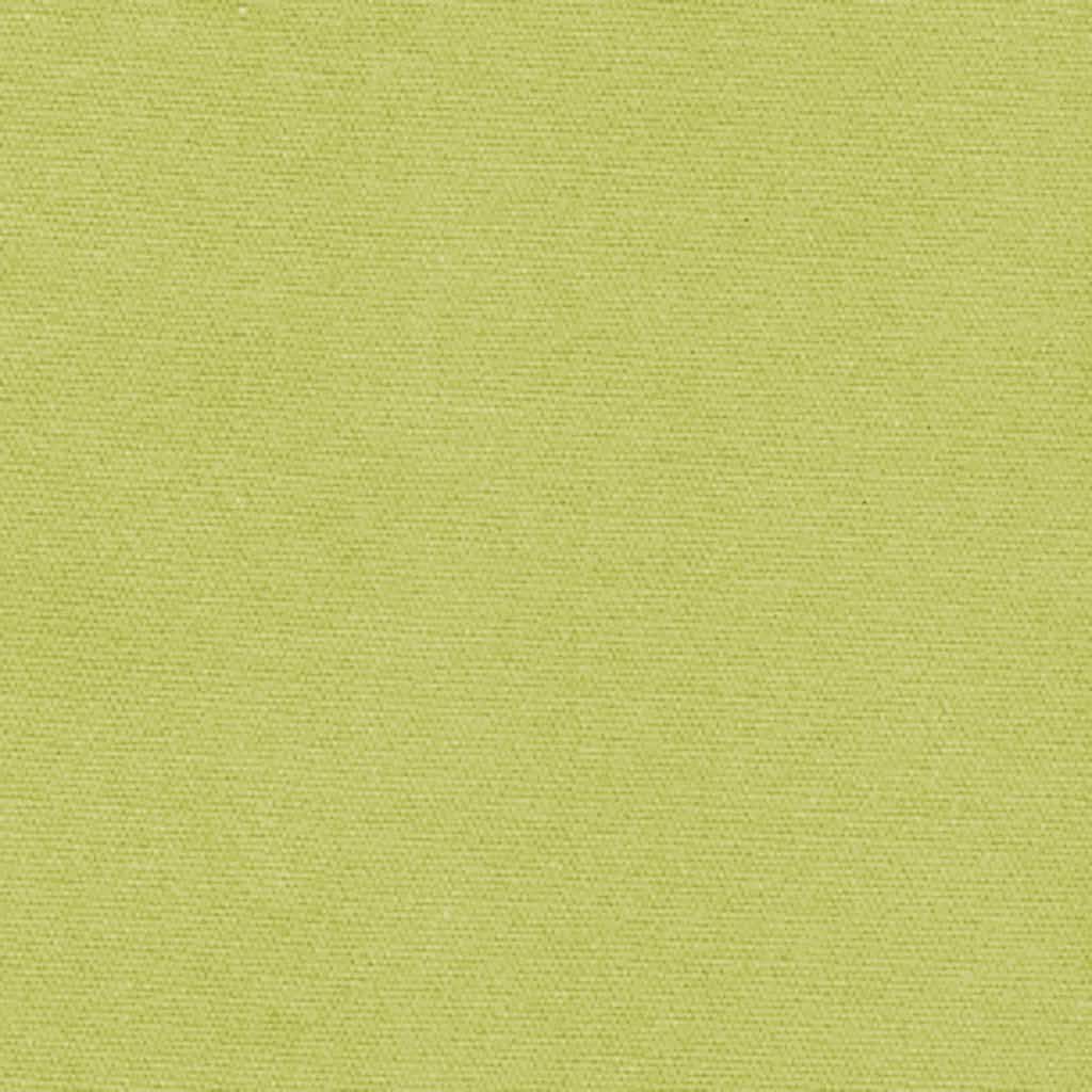 53 Cotton Duck Pear Green 80 Swatch