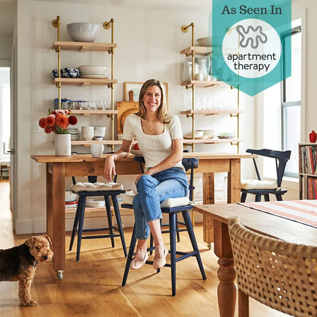 ticking stripe dining chair cushions as seen in apartment therapy with lidey heuck